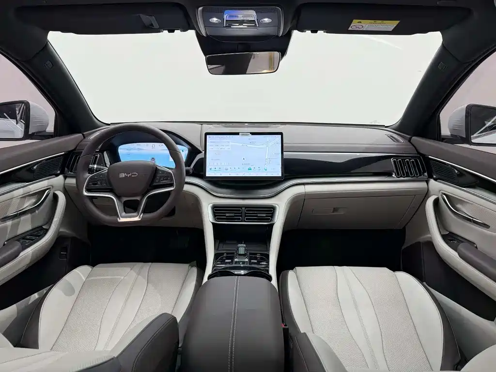 BYD Song PLUS New Energy 2025 — фото 23
