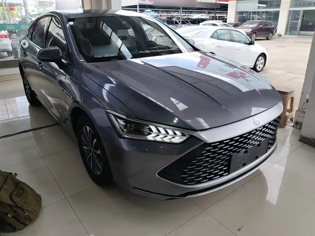 BYD Qin PLUS 2024 — фото 4
