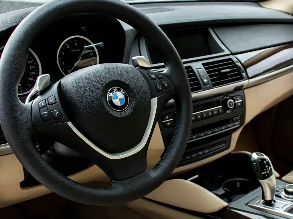 BMW X6 2010 — фото 10