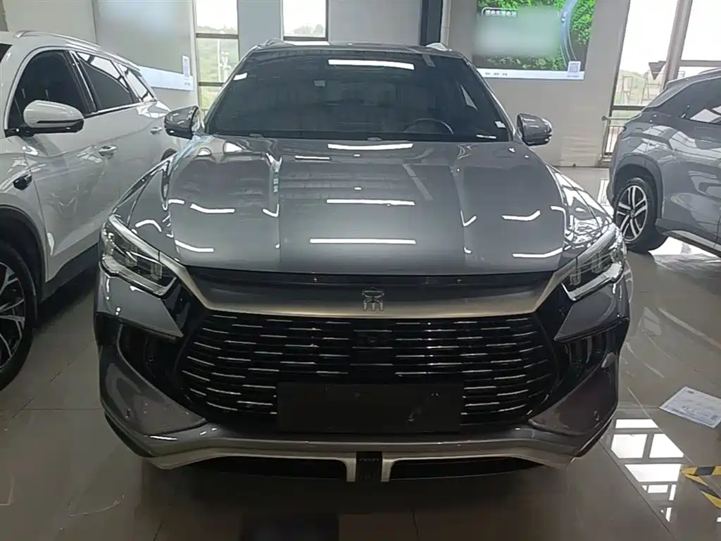 BYD Pro New Energy 2023 — фото 3