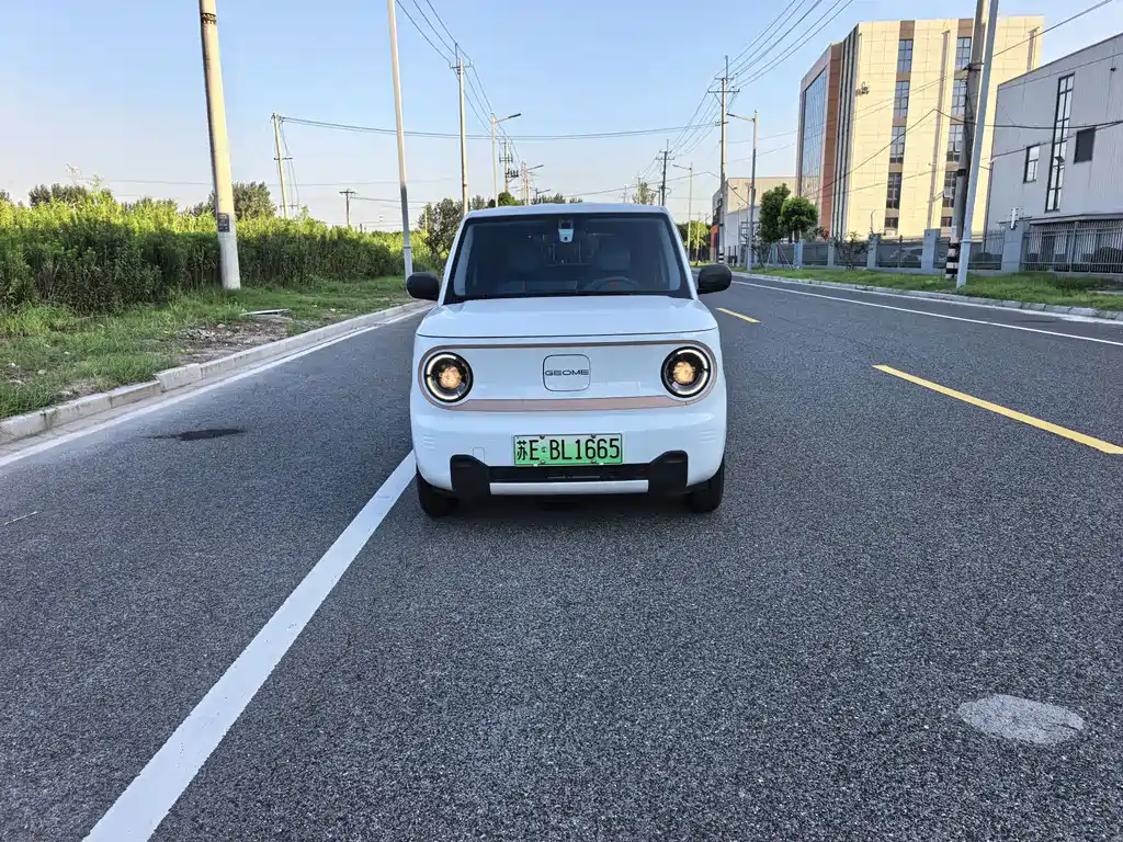 Geely Galaxy Panda 2025