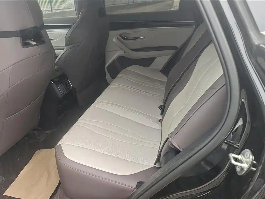 BYD PLUS New Energy 2025 — фото 11