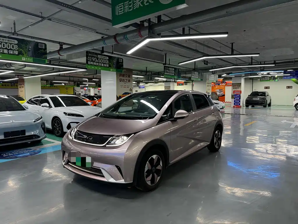 BYD Dolphin 2024