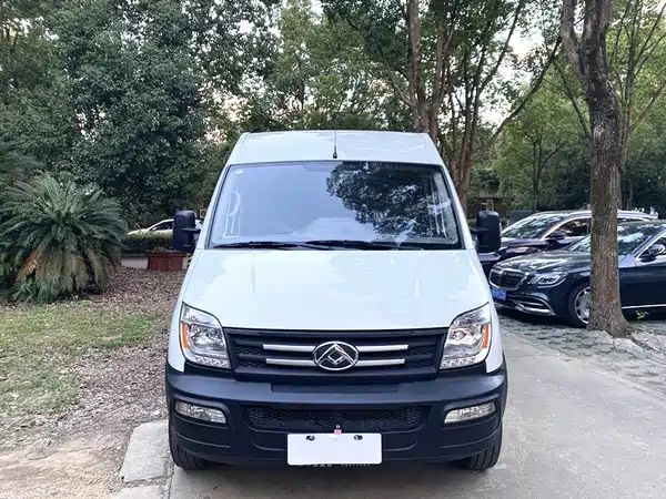 Maxus V80 2019