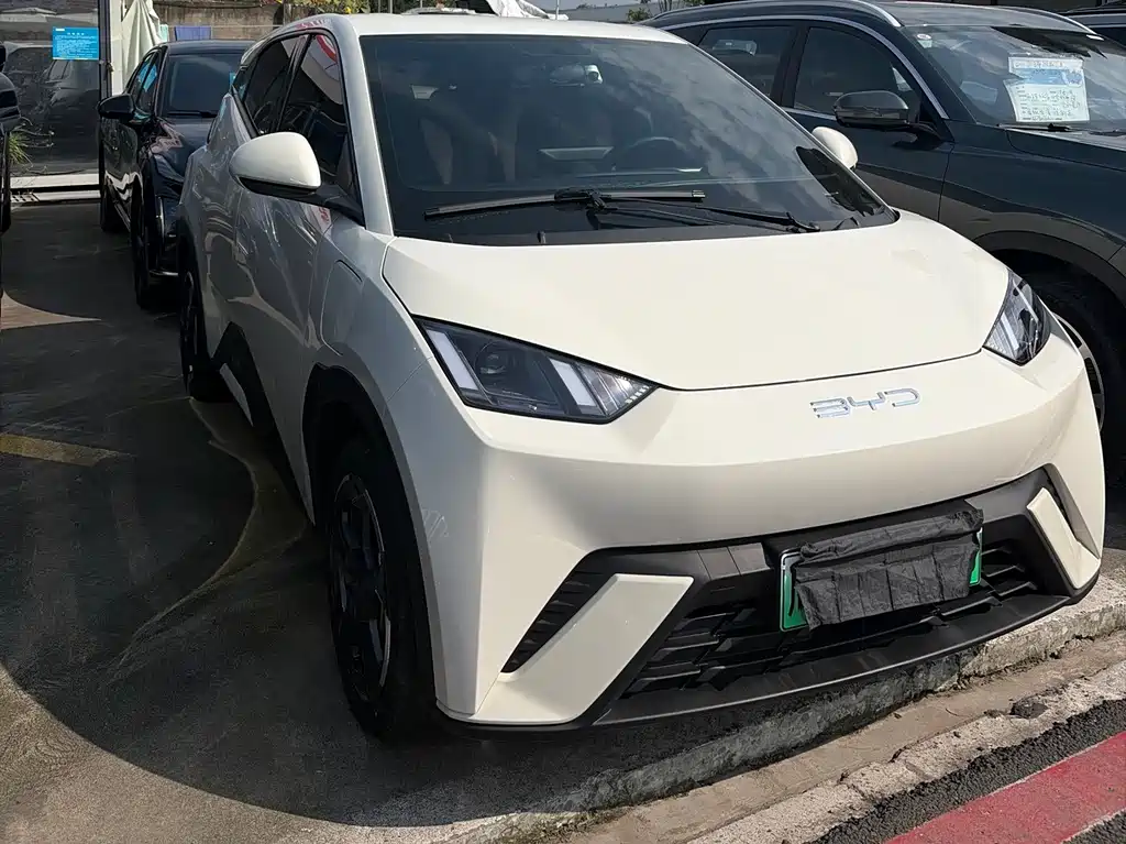 BYD Seagull 2024