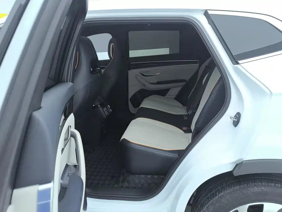 BYD Song PLUS New Energy 2024 — фото 11