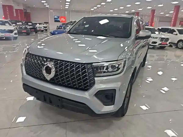 Great Wall Poer 2024