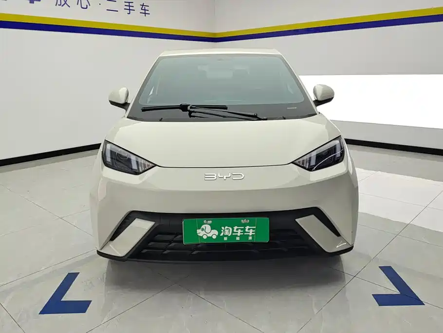 BYD Seagull 2024
