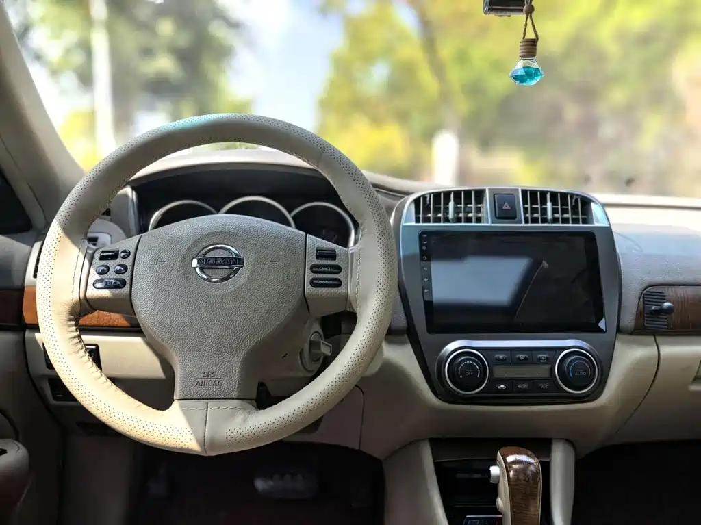Nissan Sylphy 2010 — фото 19