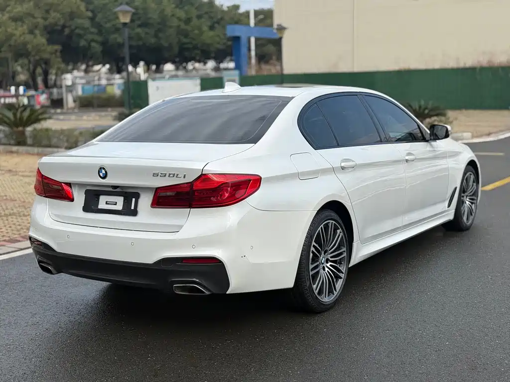 BMW 5 Series 2019 — фото 9