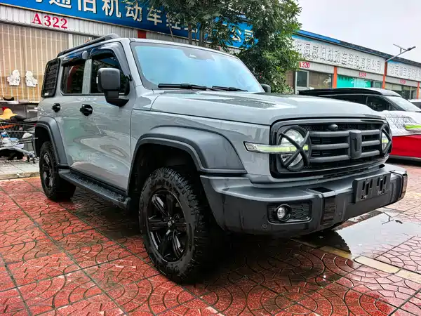 Tank 300 2024