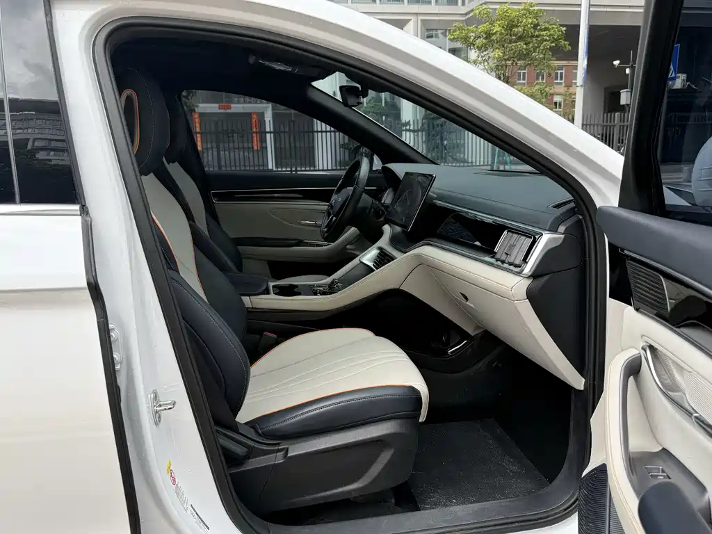BYD PLUS New Energy 2024 — фото 16
