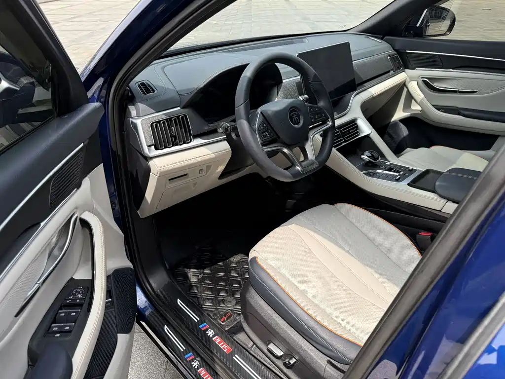 BYD PLUS New Energy 2022 — фото 11