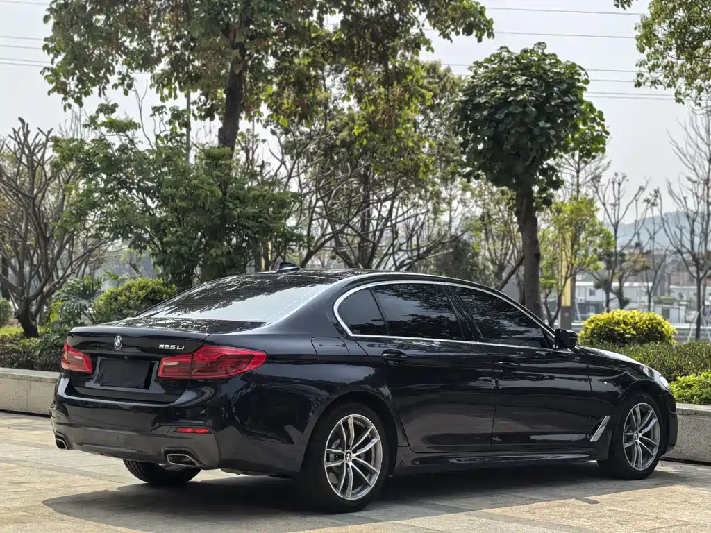 BMW 5 Series 2020 — фото 11