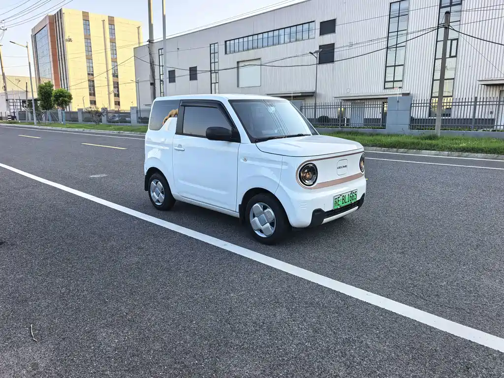 Geely Galaxy Panda 2025