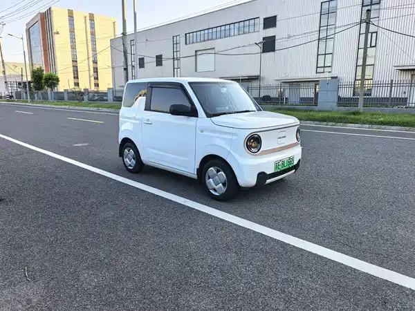 Geely Galaxy Panda 2025