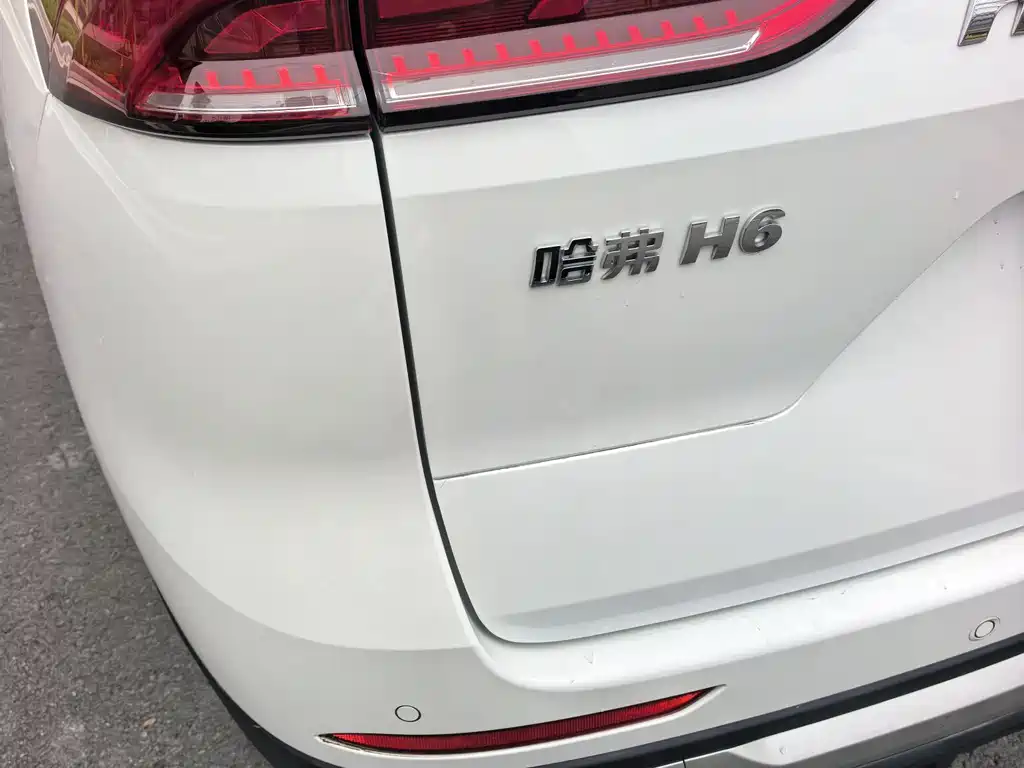 Haval H6 2024 — фото 23