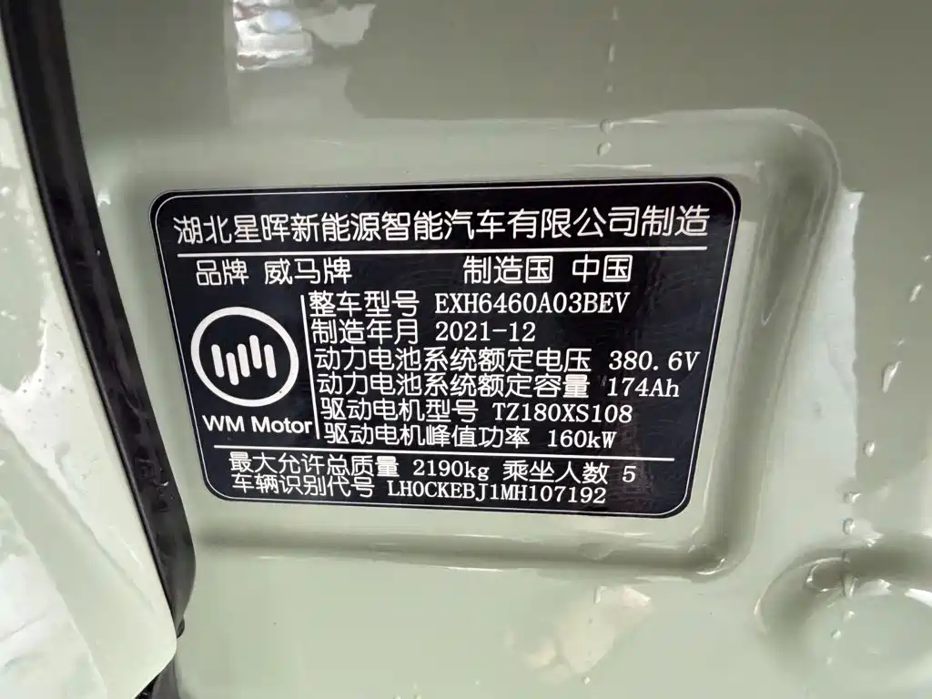 WM Motor W6 2021 — фото 14