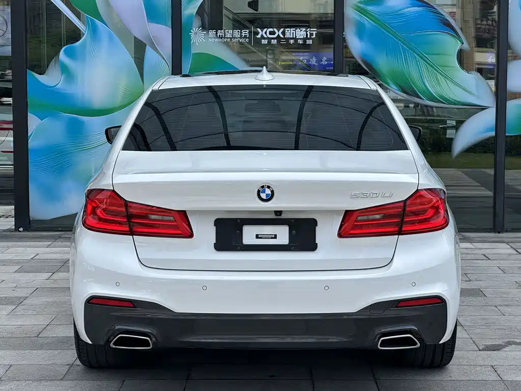 BMW 5 Series 2018 — фото 10