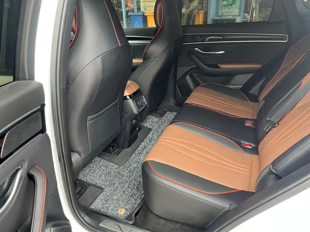 BYD PLUS New Energy 2023 — фото 6