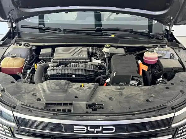BYD Destroyer 05 2024