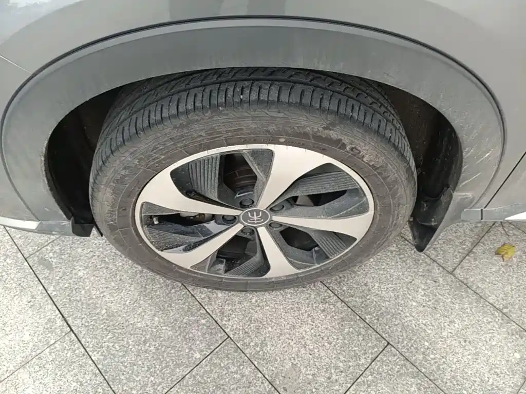 BYD Song PLUS New Energy 2022 — фото 23