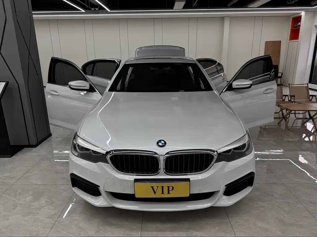 BMW 5 Series 2019 — фото 20