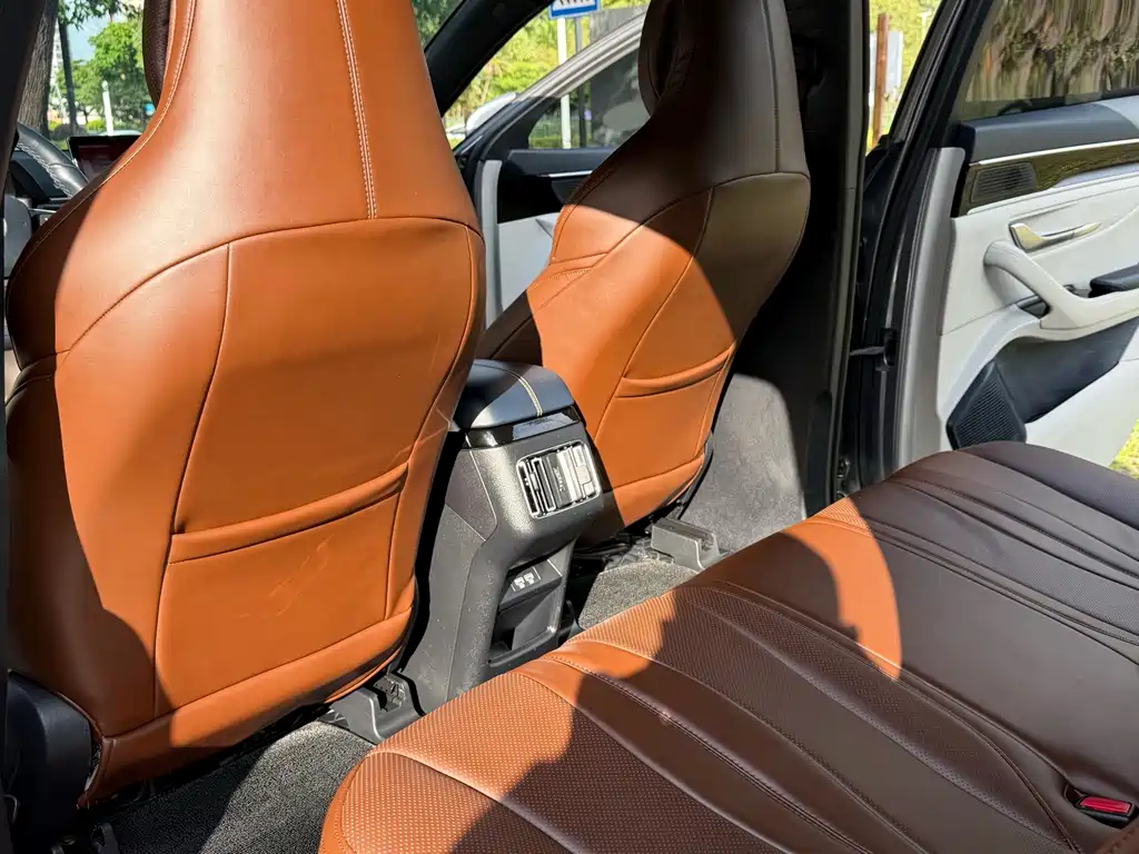 BYD Song PLUS New Energy 2023 — фото 14