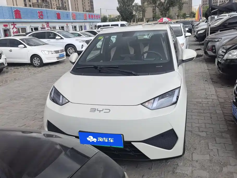 BYD Seagull 2025