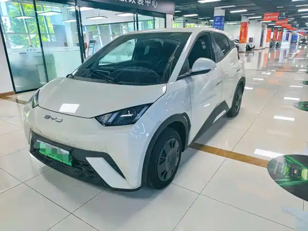 BYD Seagull 2024