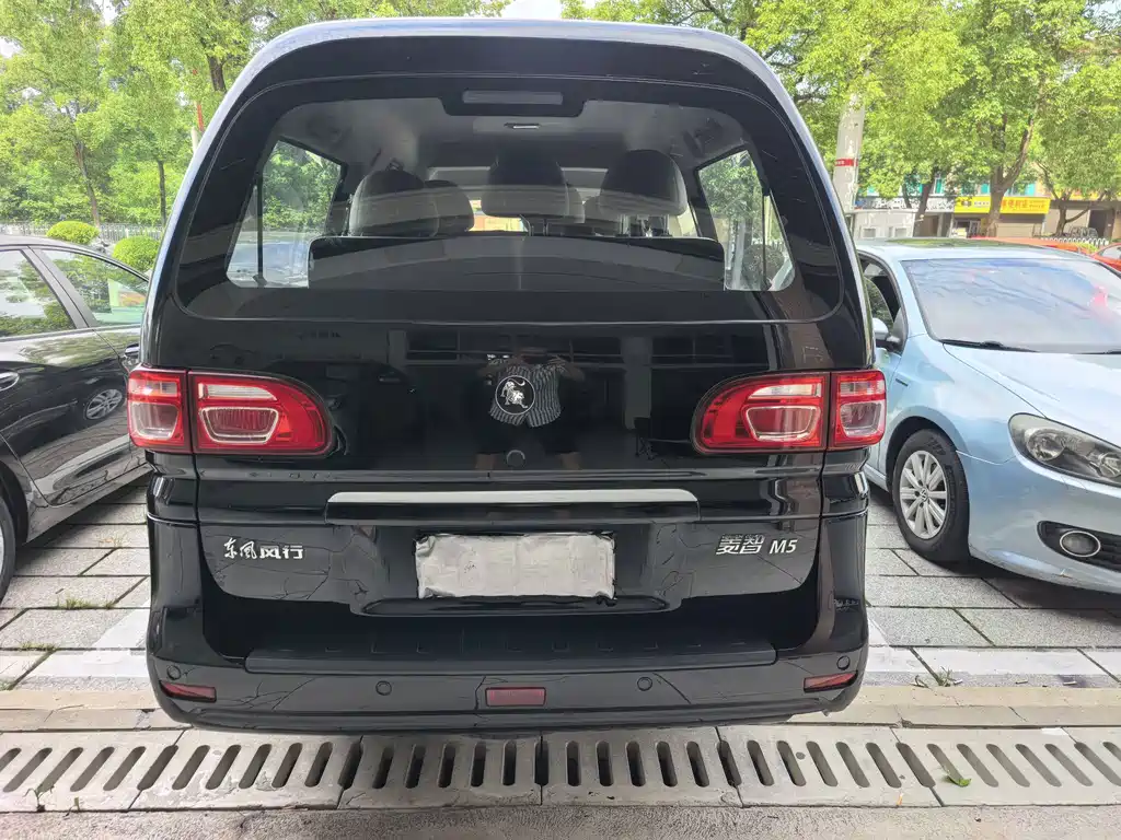Dongfeng Lingzhi 2023