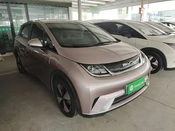 BYD Dolphin 2024