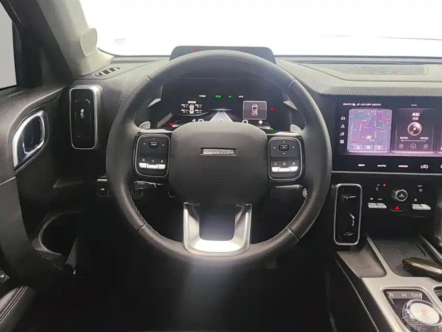 Haval Big Dog 2024 — фото 15