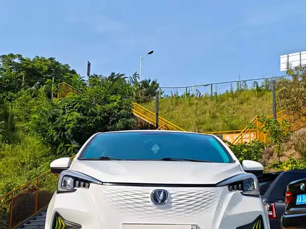 Changan Benben E-Star 2020