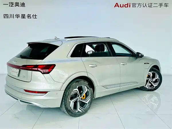 Audi e-tron 2021
