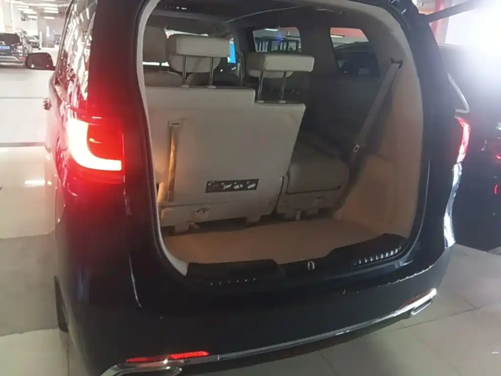 GAC Trumpchi M8 2018 — фото 19