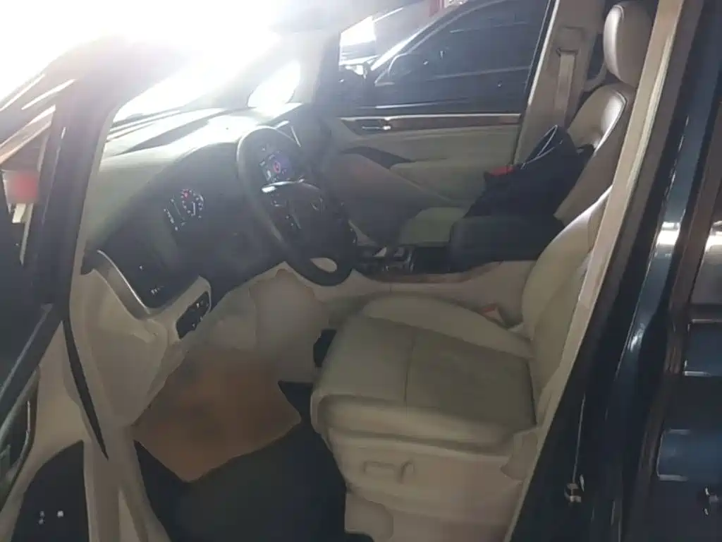 GAC Trumpchi M8 2018 — фото 15