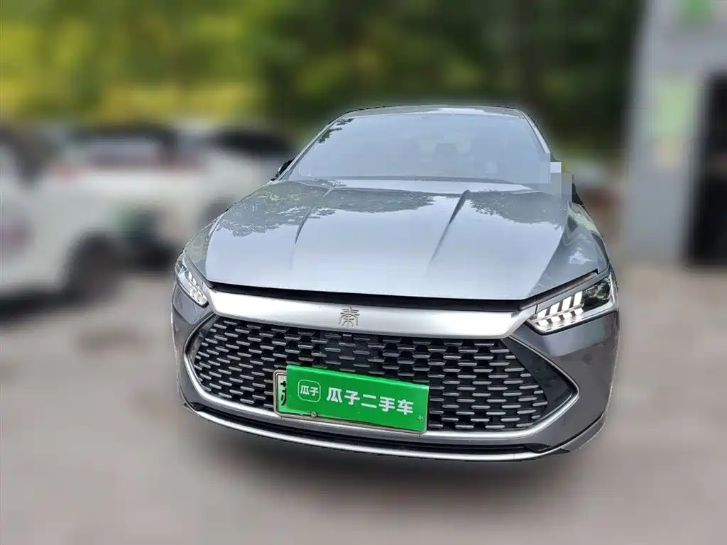 BYD Qin PLUS 2024 — фото 2