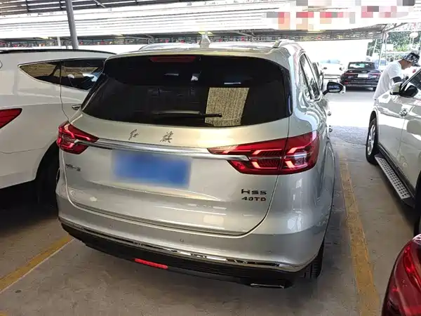 Hongqi HS5 2019