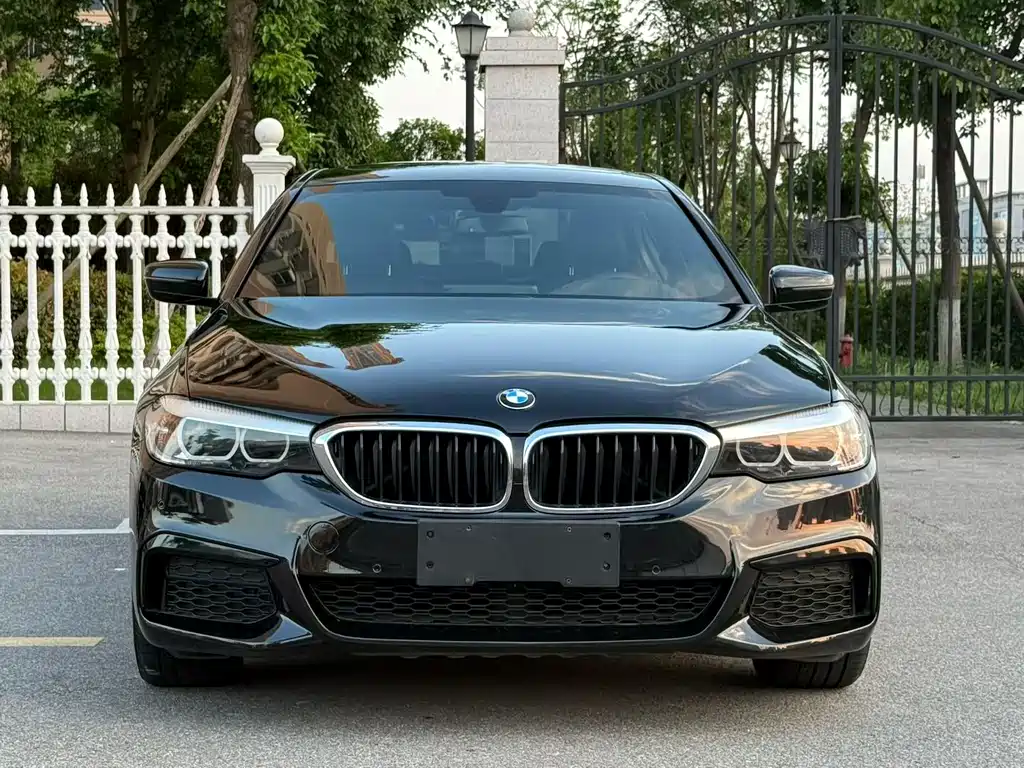 BMW 5 Series 2019 — фото 3