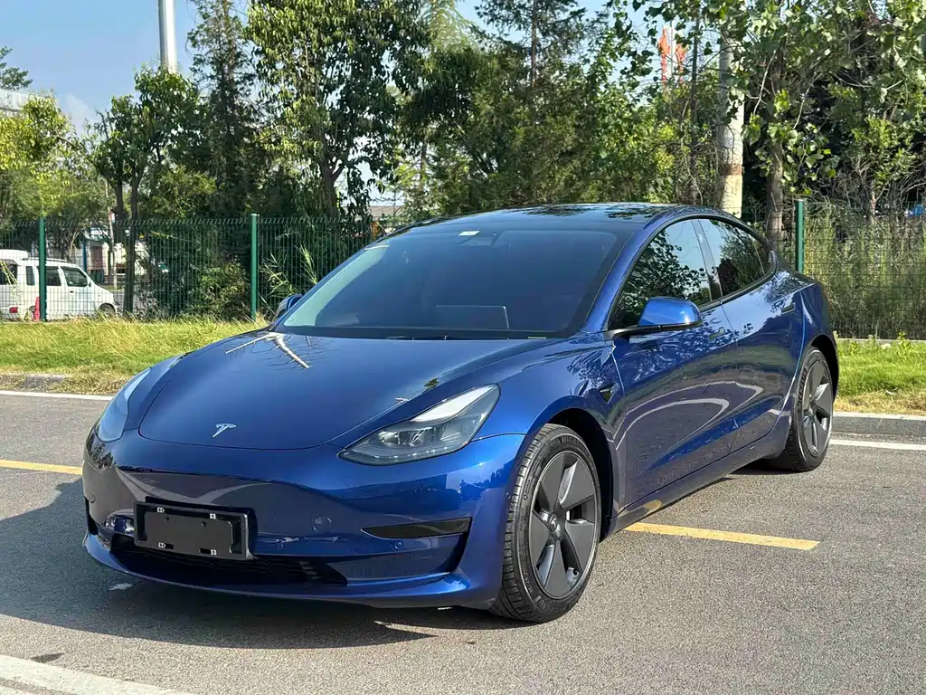 Tesla Model 3 2021 — фото 1