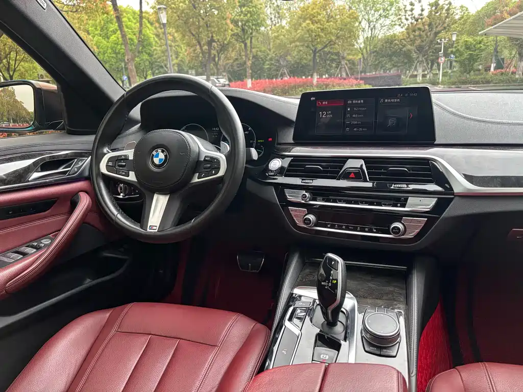 BMW 5 Series 2019 — фото 11