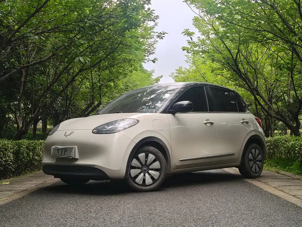 Wuling Bingo 2024