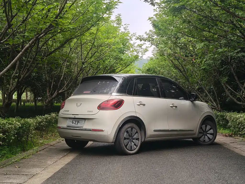 Wuling Bingo 2024