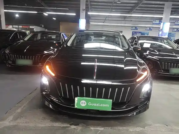 Hongqi E-QM5 2023