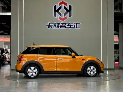 MINI MINI 2015