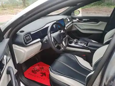 BYD Qin PLUS 2021