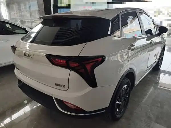 Neta V 2022