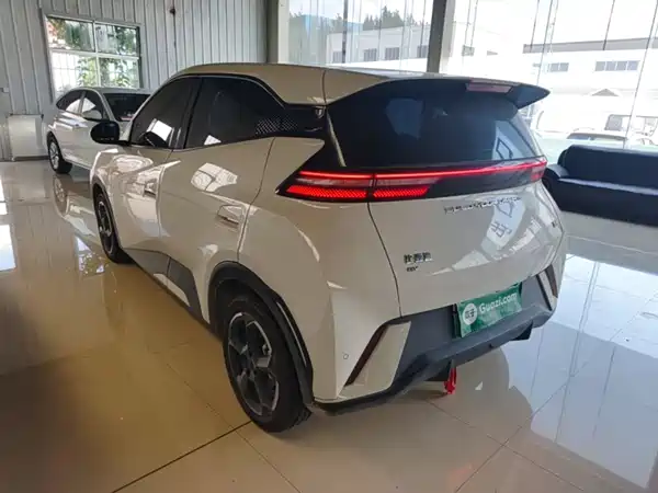 BYD Seagull 2024
