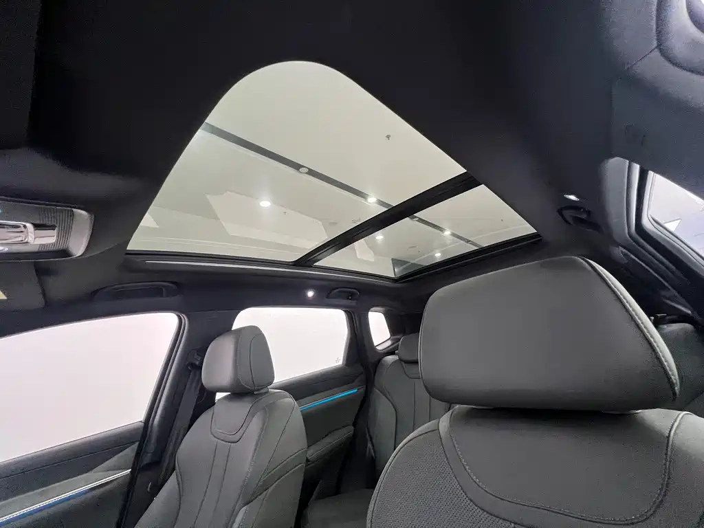 BYD Song Pro New Energy 2025 — фото 21